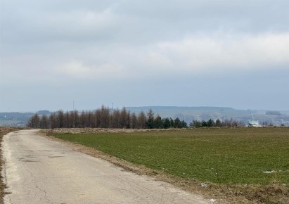 działka na sprzedaż - Pilica (gw), Smoleń