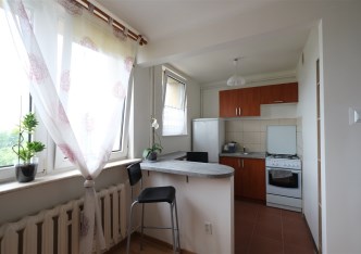 mieszkanie na wynajem - Sosnowiec, Pogoń
