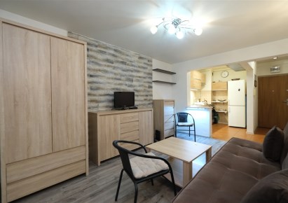 mieszkanie na wynajem - Sosnowiec, Centrum